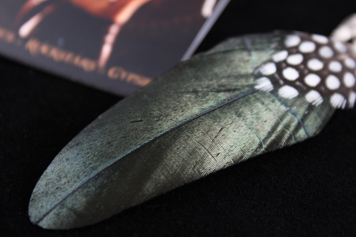 Black Smoke Feather Earrings - Black & Silver Filigree Asymmetrical Feather Earrings