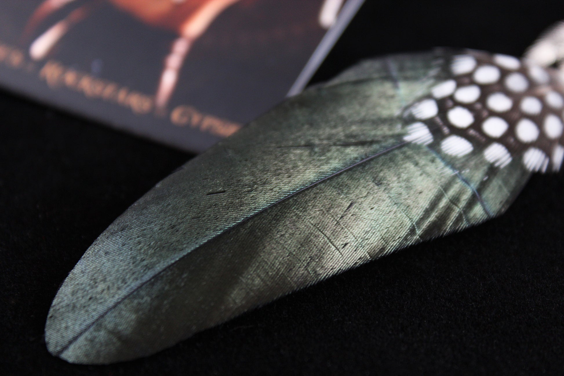 Black Smoke Feather Earrings - Black & Silver Filigree Asymmetrical Feather Earrings