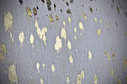 The Gold Girl Brown Leather Shoulder Bag : Cowhide with Fringe